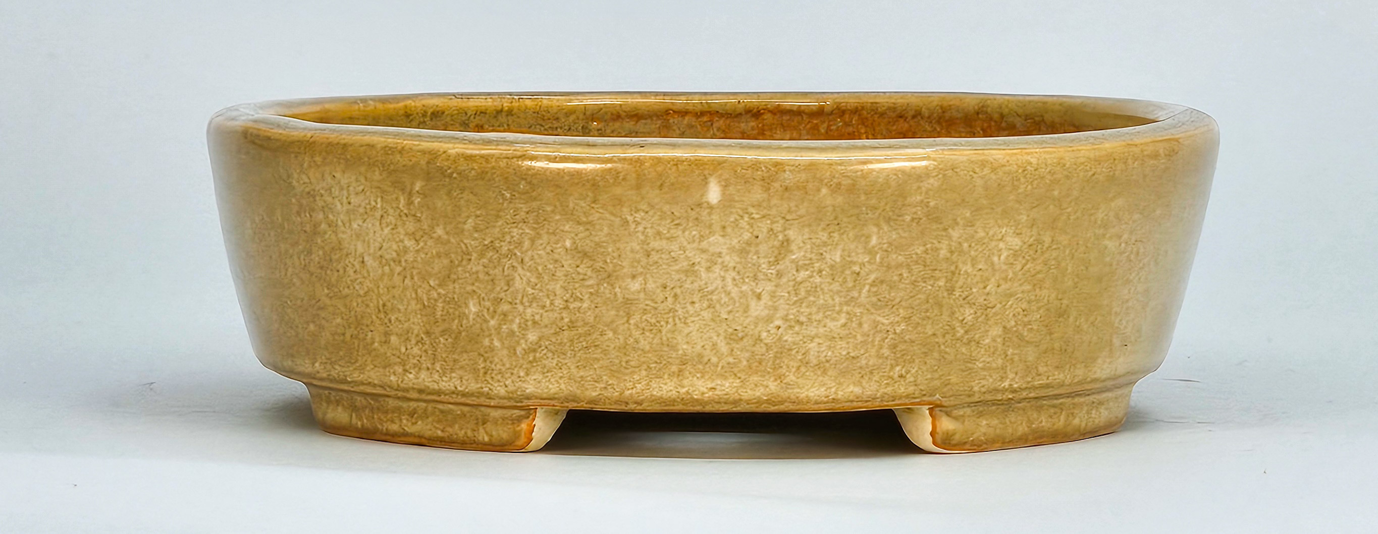 Bonsaischale Koyo Tokoname 17x14x4,3cm