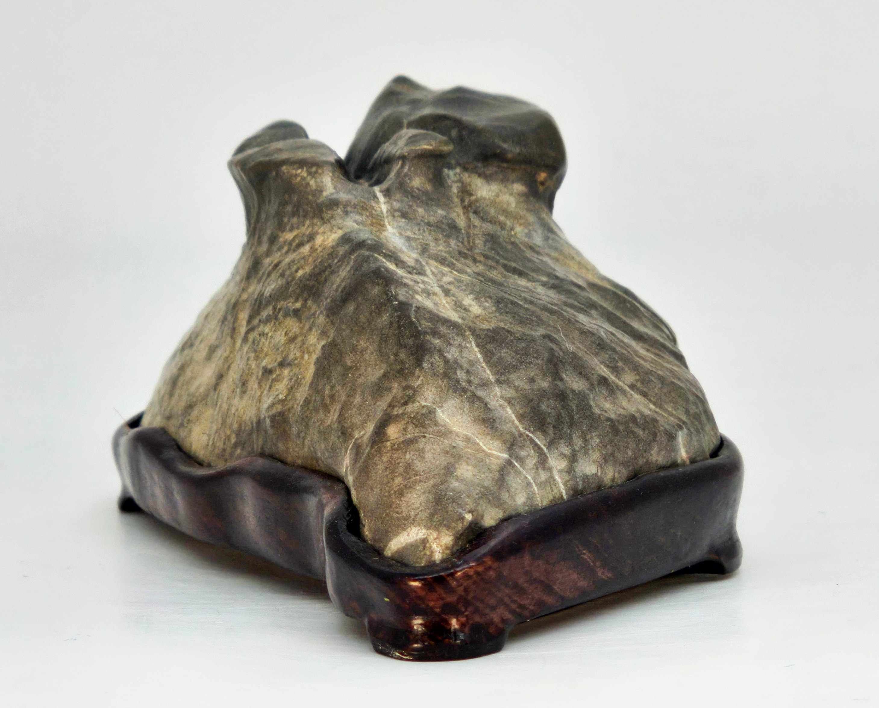 Suiseki aus den Apuanischen Alpen inkl. Daiza 18x9x6,5cm