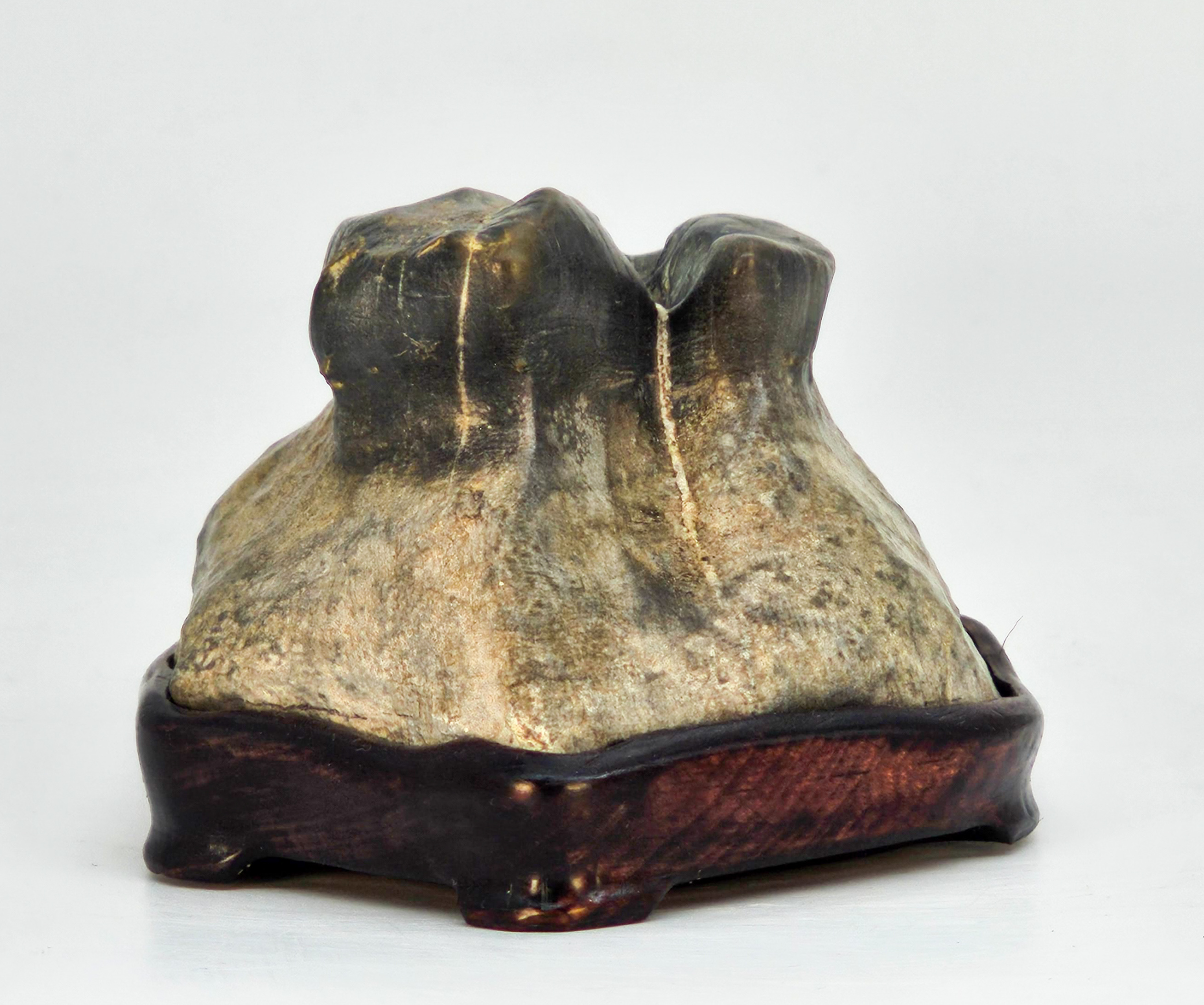 Suiseki aus den Apuanischen Alpen inkl. Daiza 18x9x6,5cm