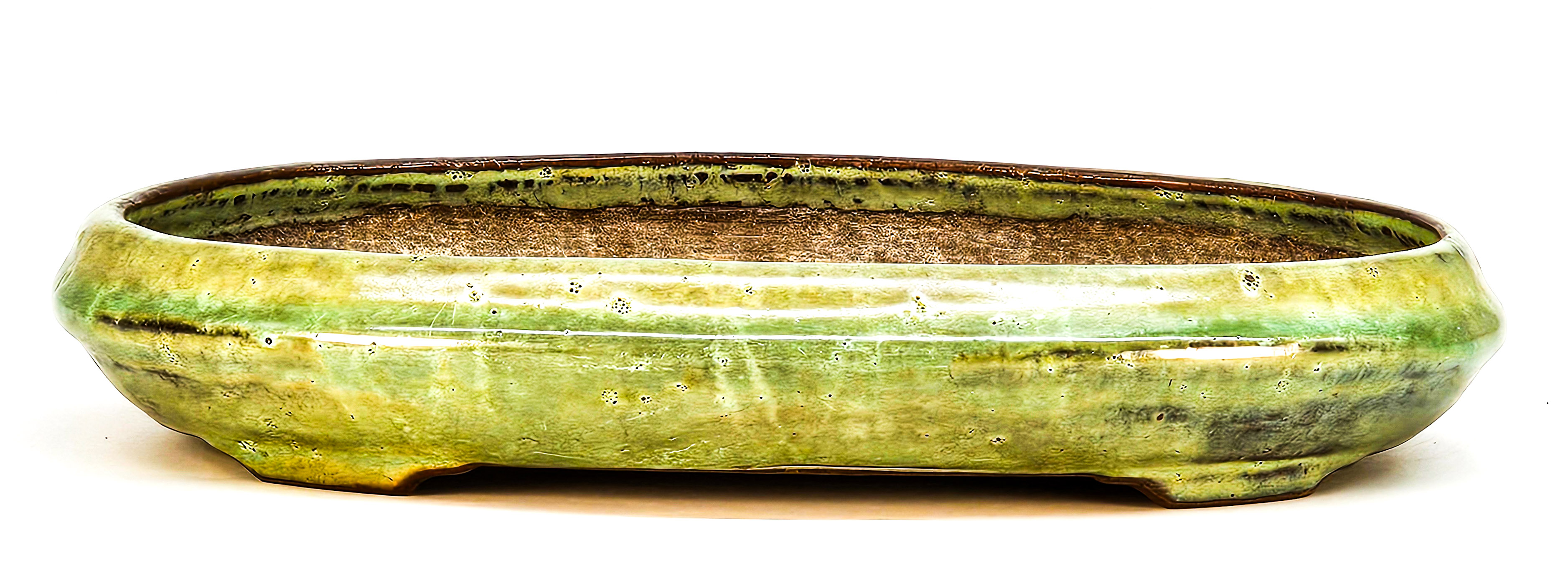 Bonsaischale Tousuien zou 24,4 x 17x 4,2cm