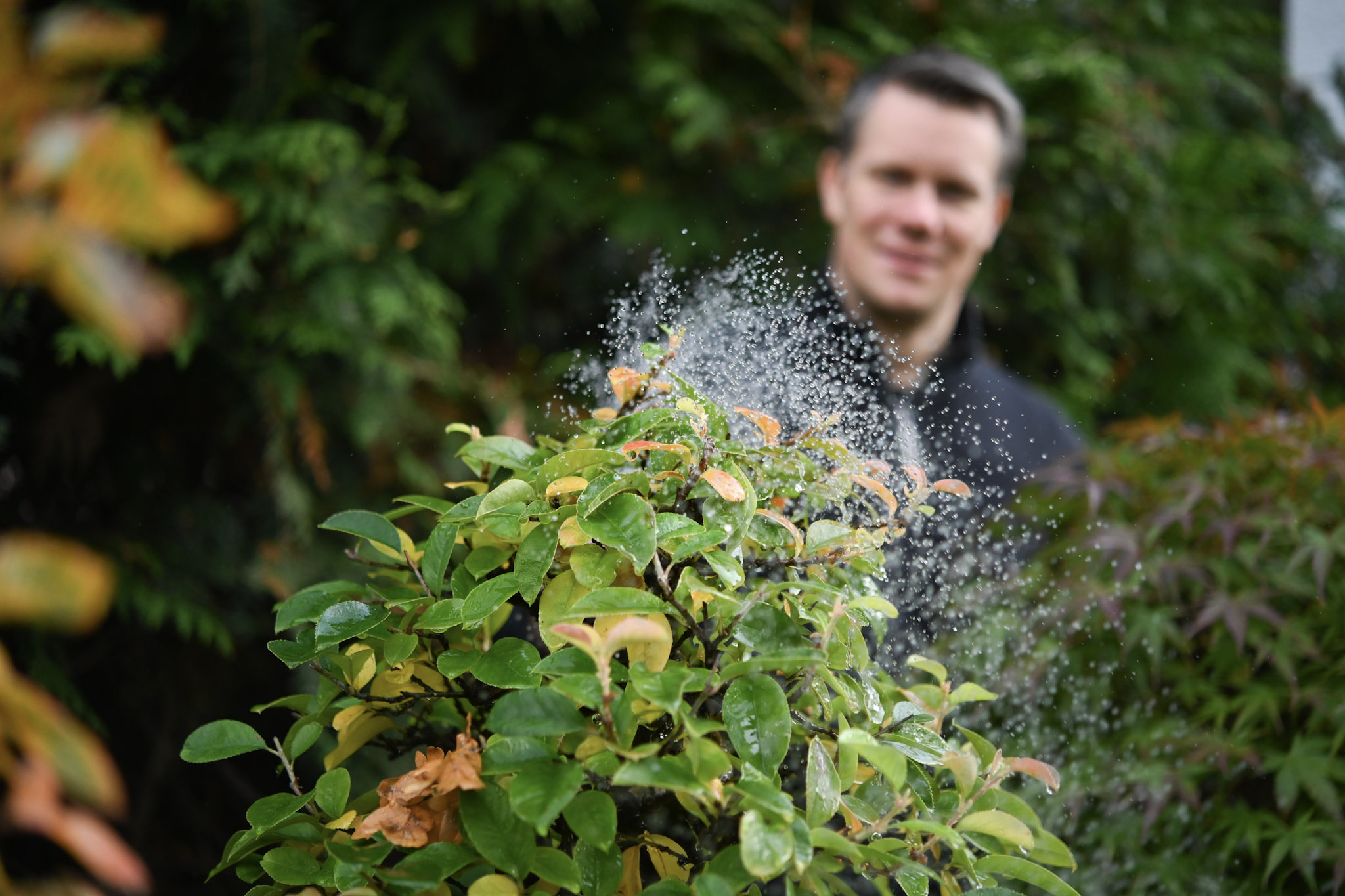 DEr Inhaber von Ikigai Bonsai beim Gießen seiner Bäume